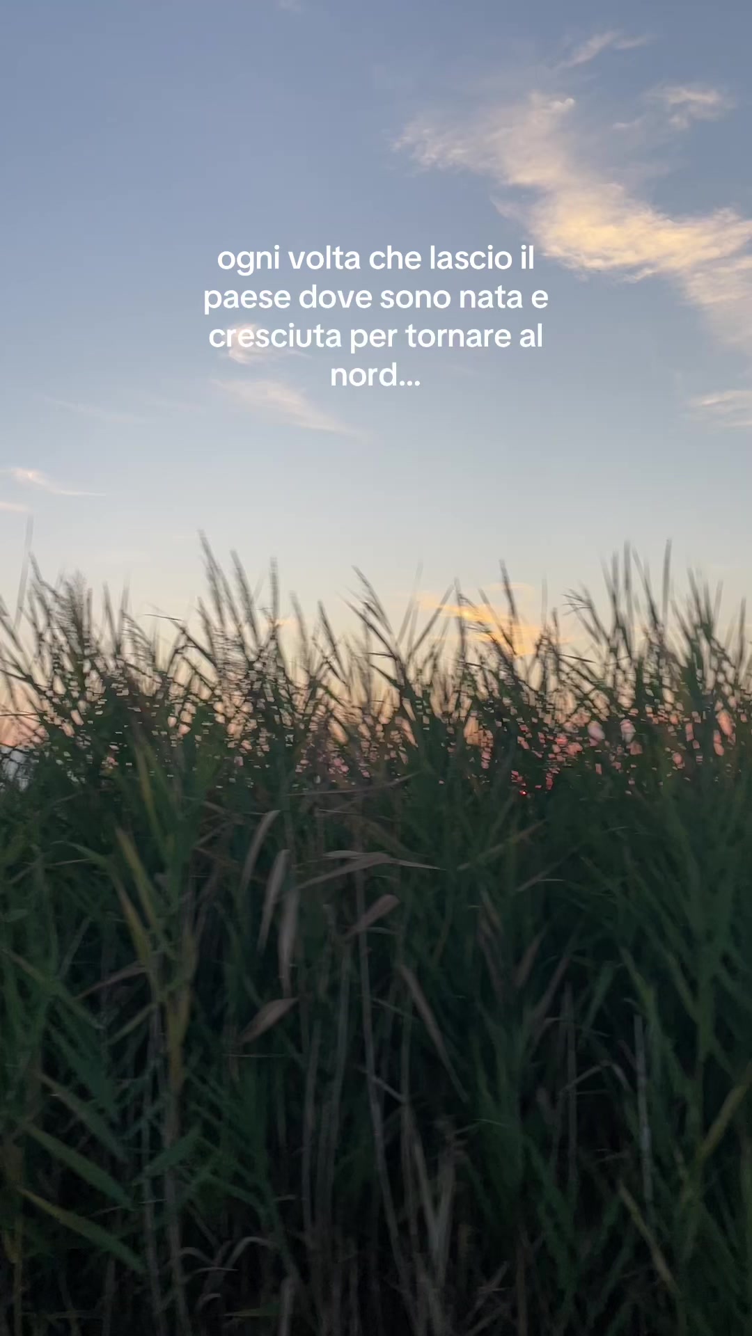@Soraya