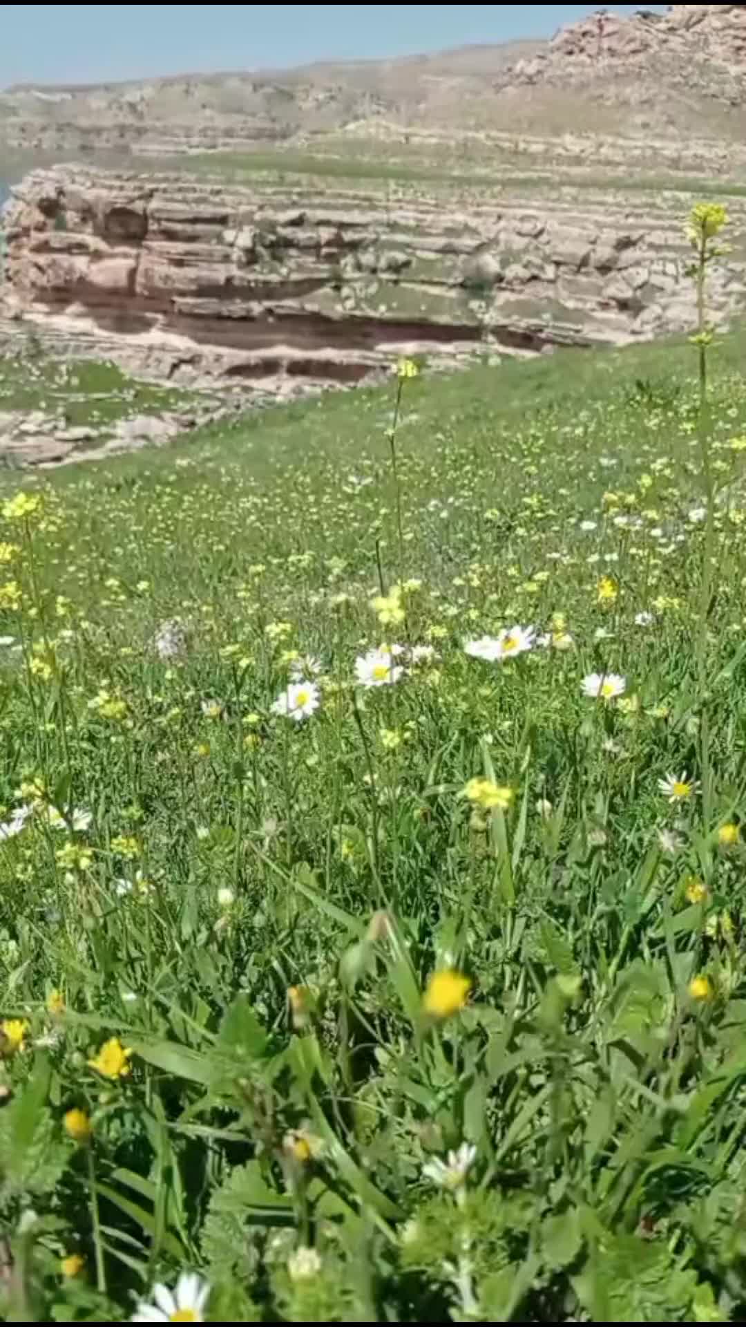 @Kübra Kılınç