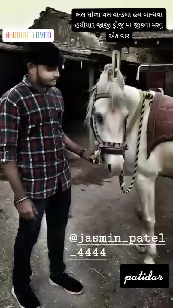 @Jasmin patel 4444