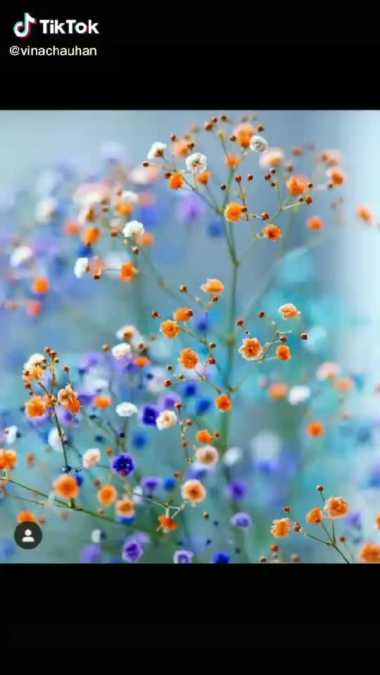 @user6549707958404