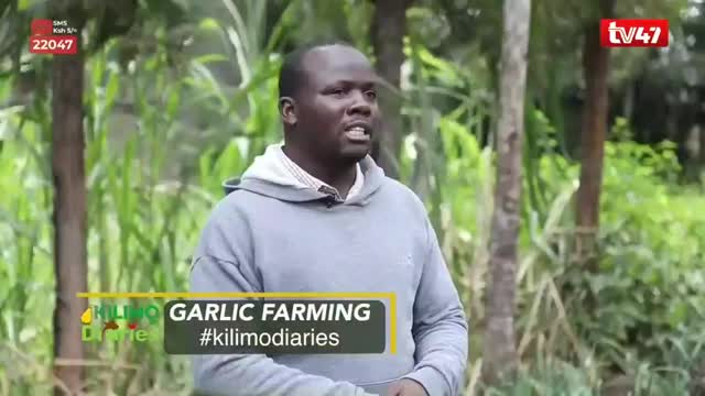 @Agri-Irrigation Africa Limited