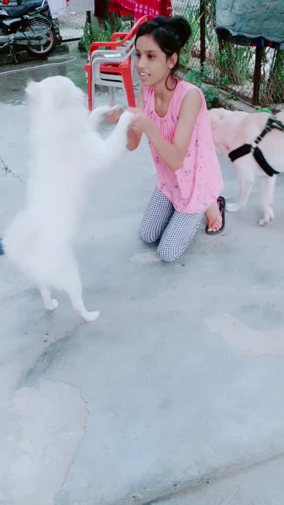 @soni