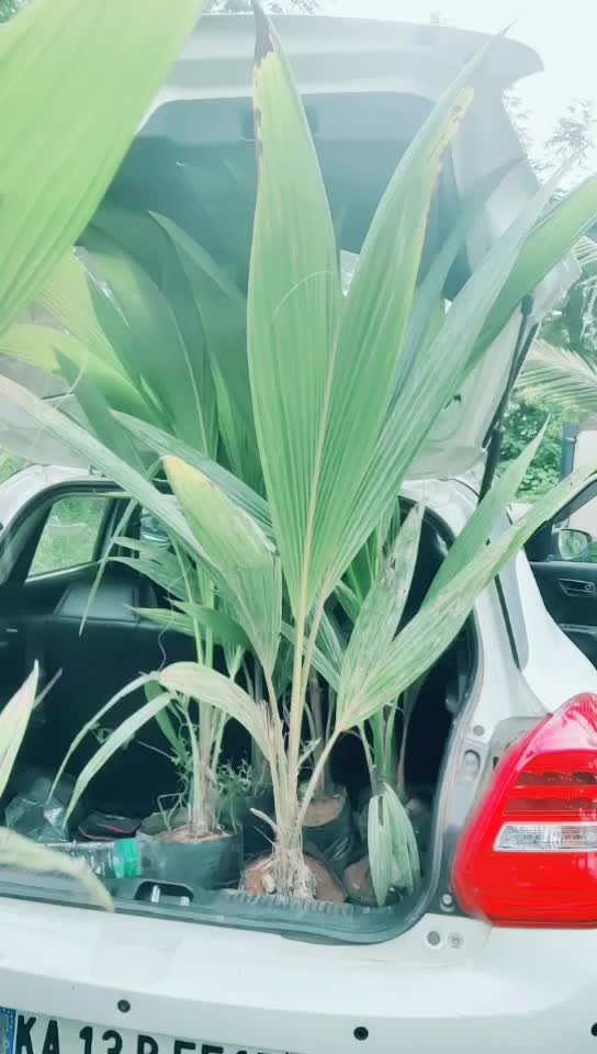 @ಮಡೇನೂರು ಮನು