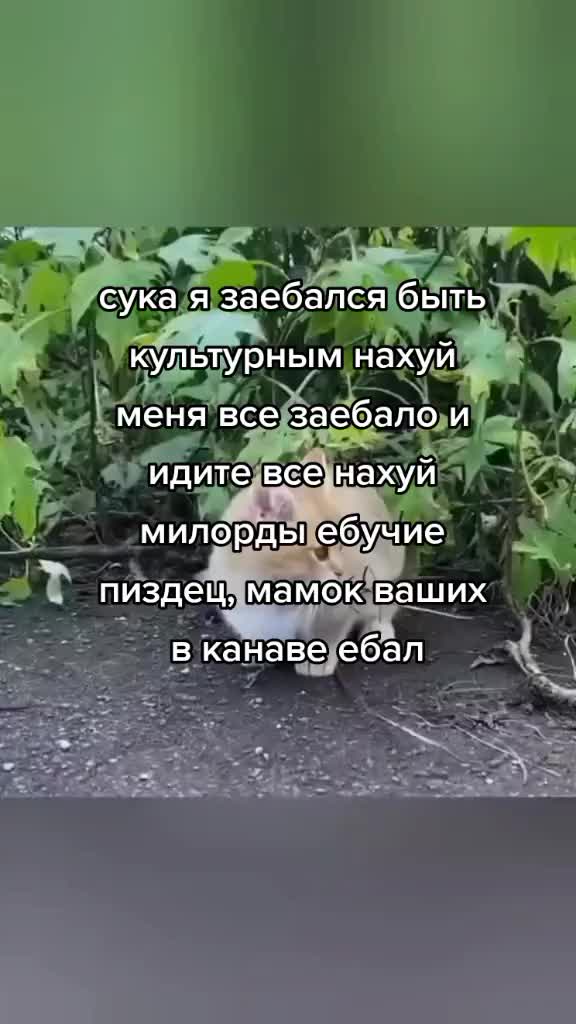 @что тебе нужно сдесь, леди?