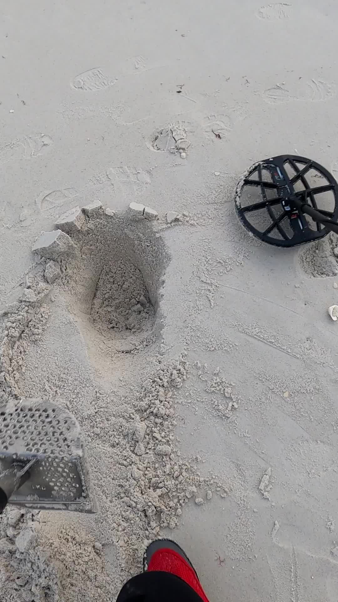 @PirateOfMiamiBeach