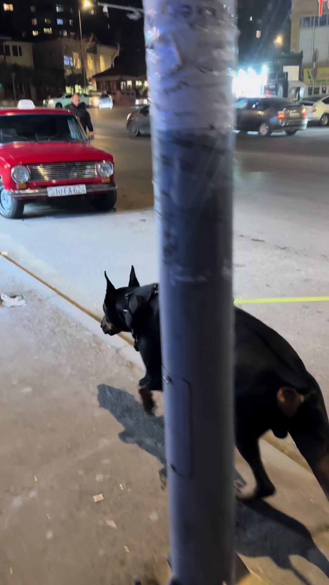 @dobi.baron
