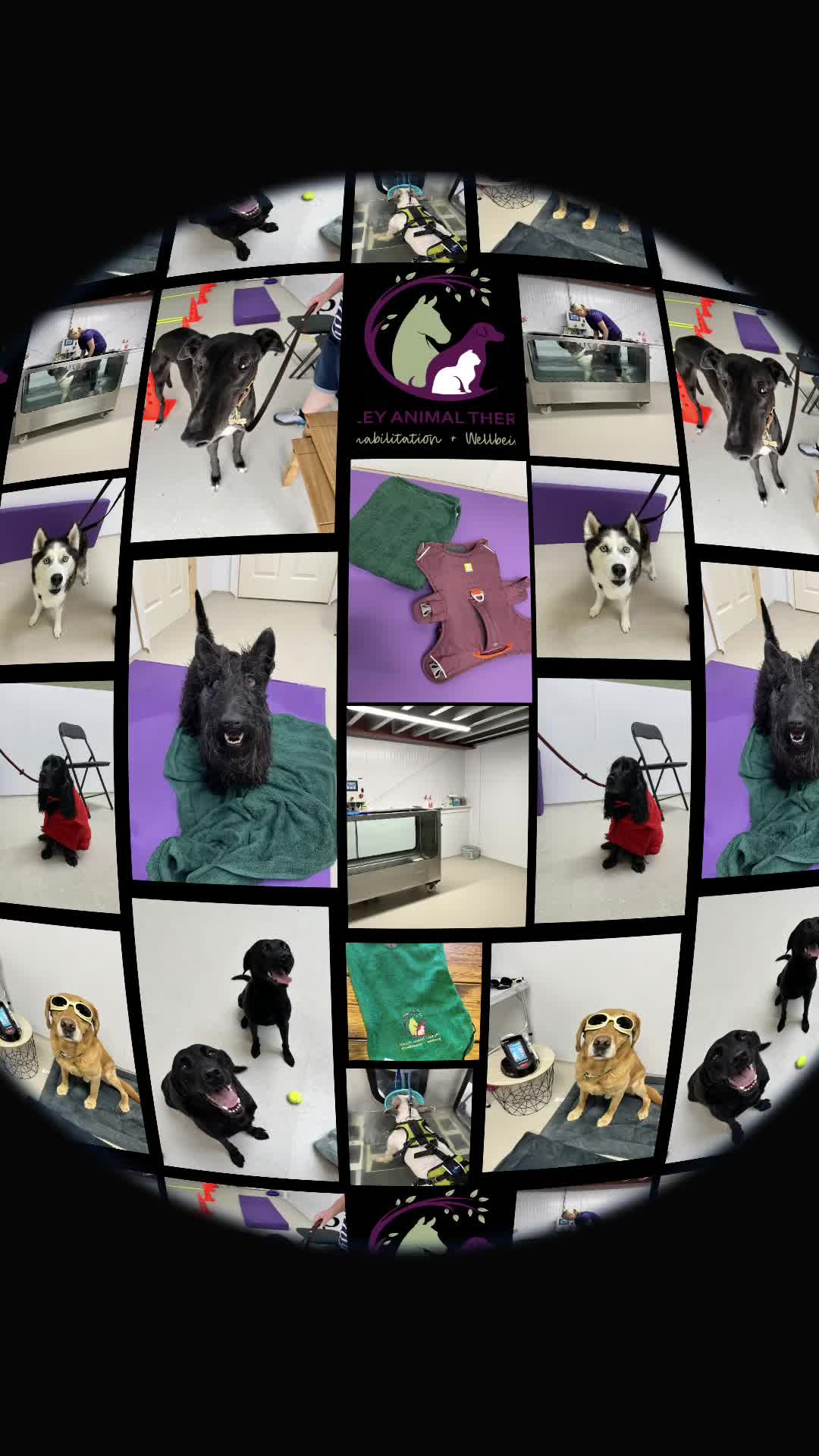 @Valley Animal Therapy Limited