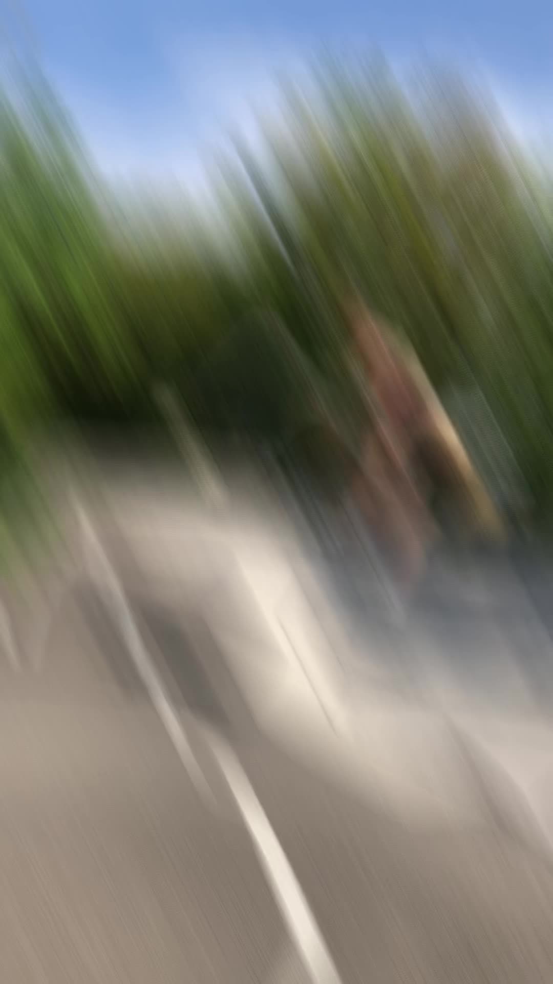 @lęª🦎