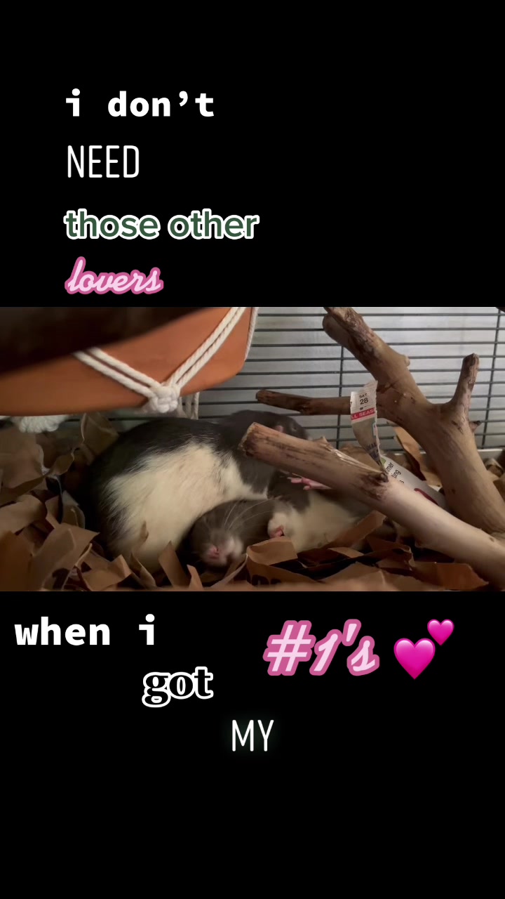 @Mini Mischief