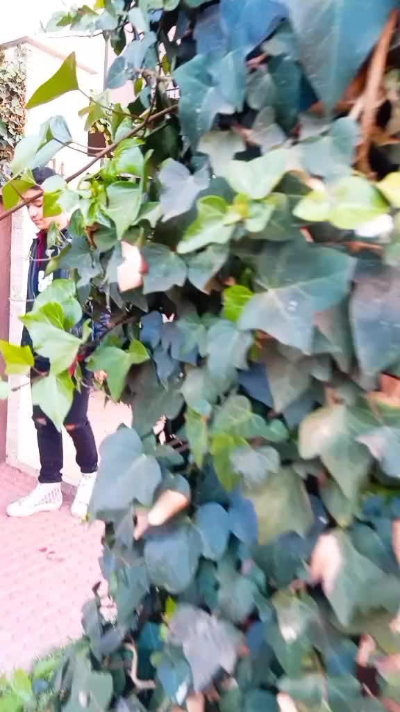 @Nizar Ait Said🇲🇦