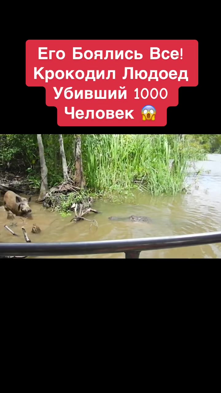 @Живность