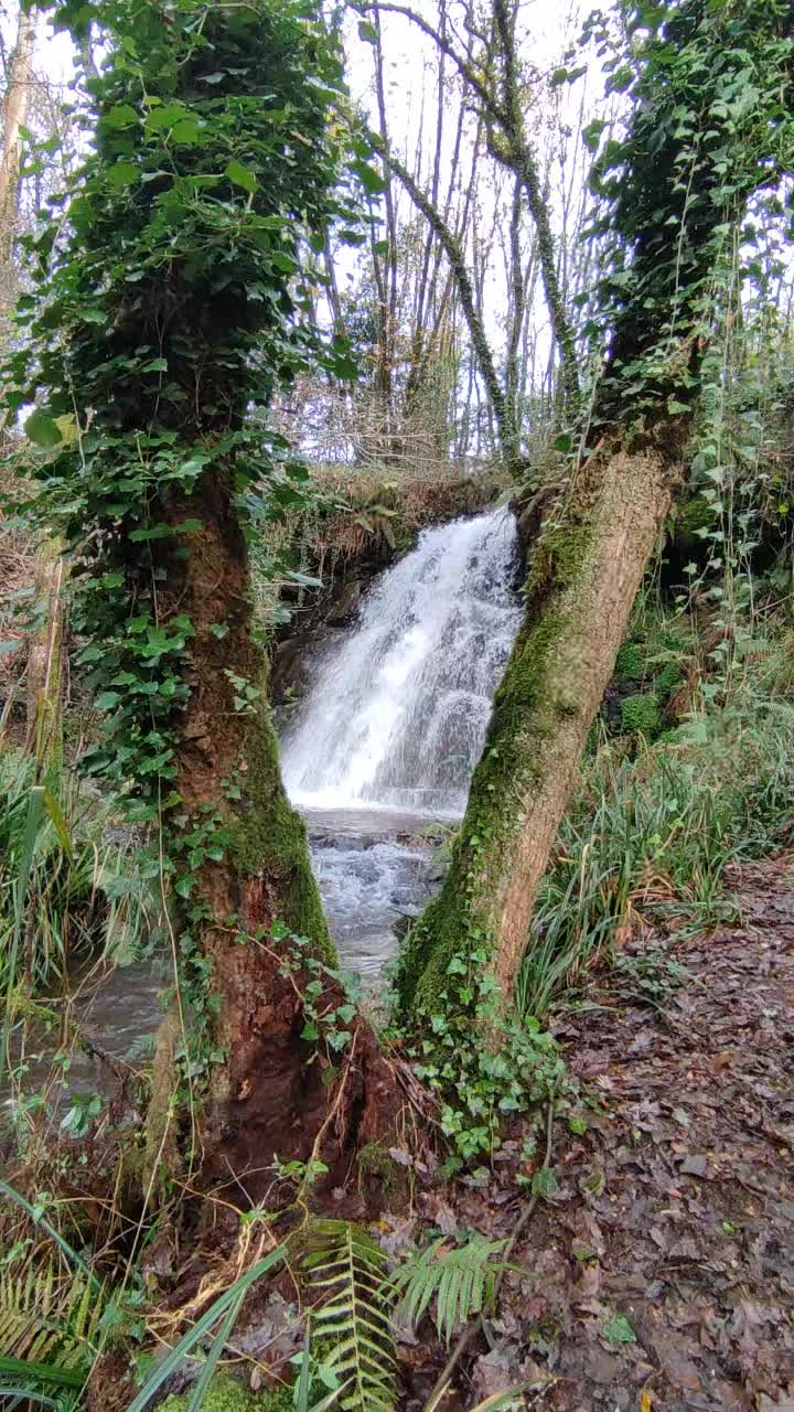 @Galicia Máxica