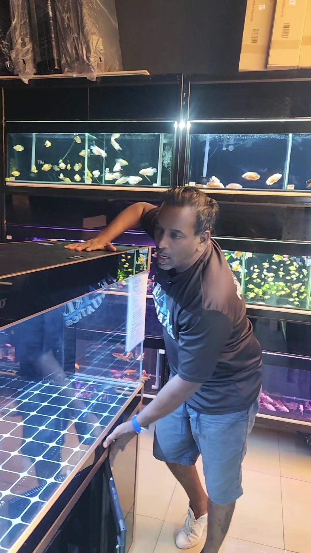 @Pearl Aquatics