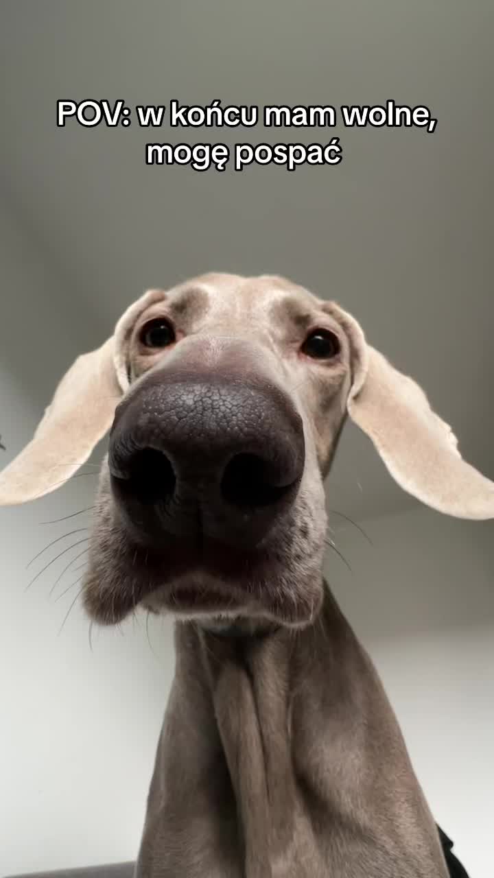 @lola | ig: heydoggyblog