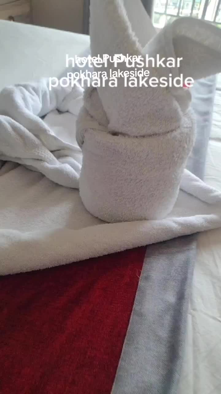 @manzilkanxo