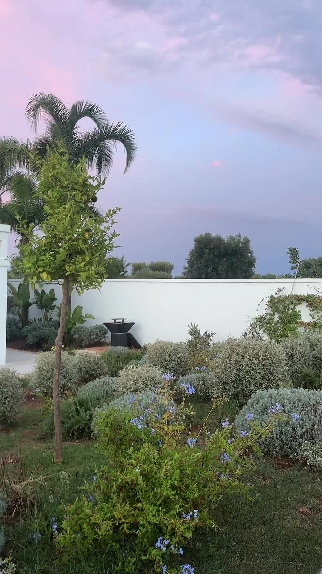 @sofia