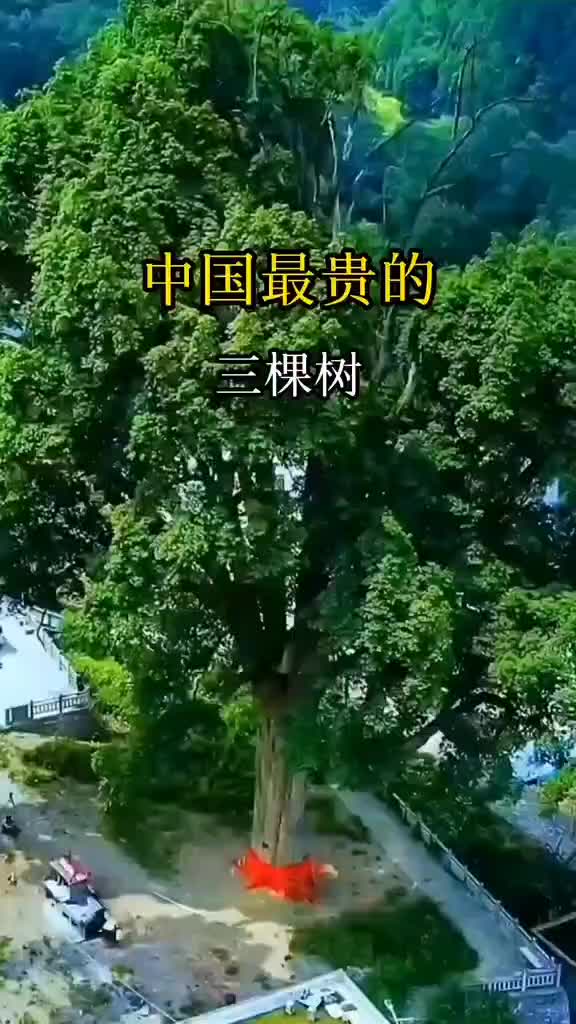 @中国行