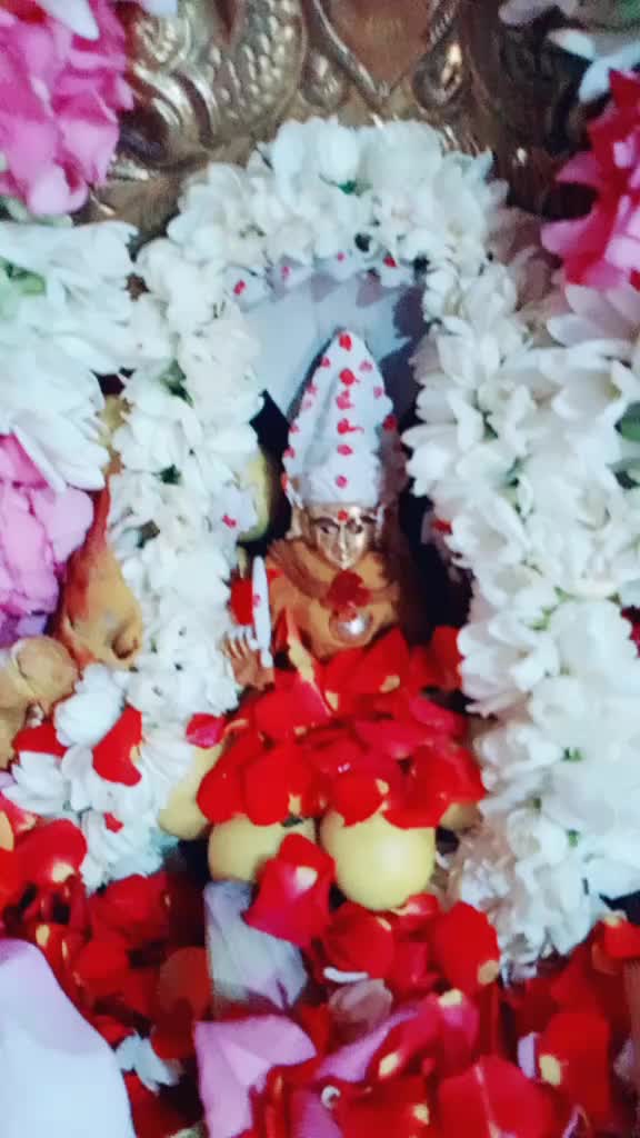 @tirupur Jeni