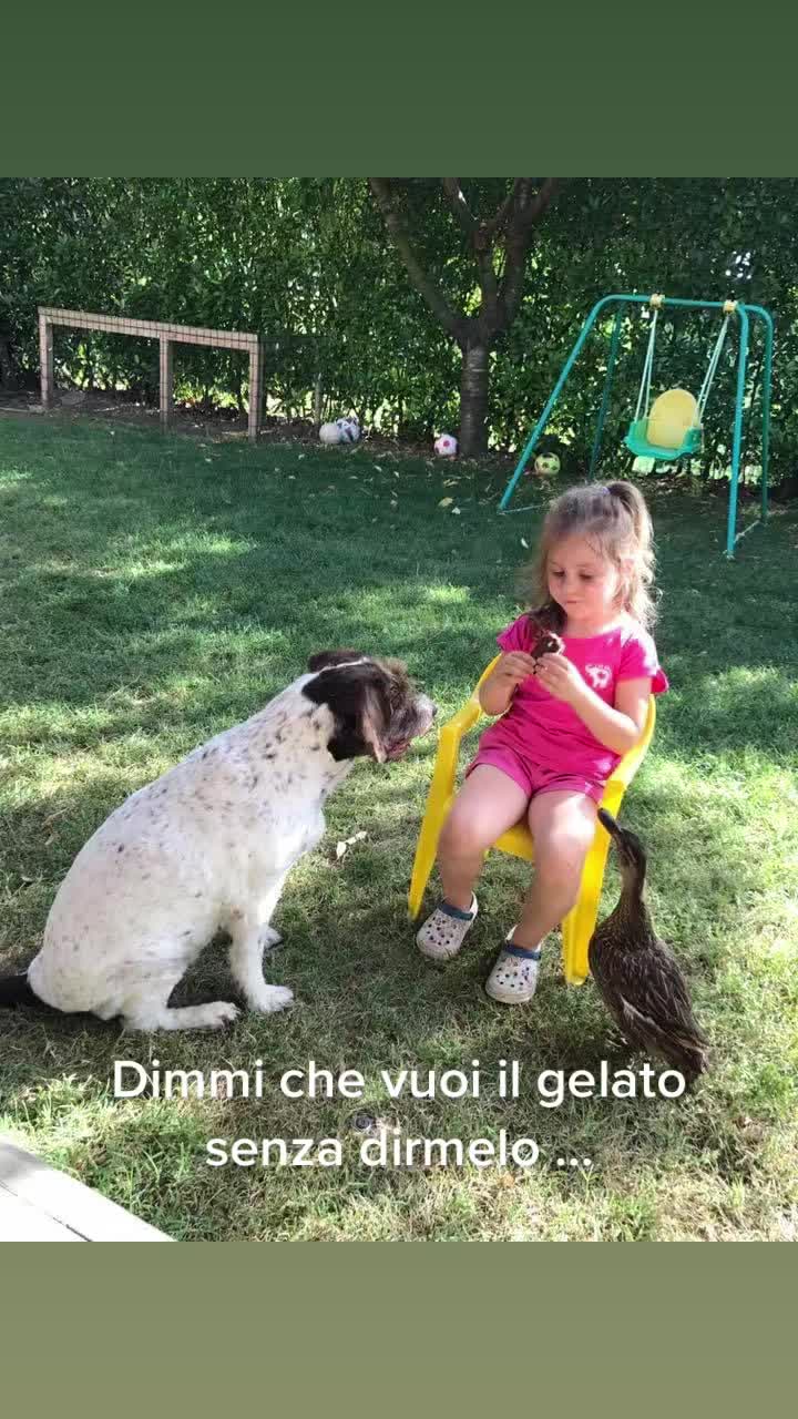 @Ponyclubilgattoelavolpe