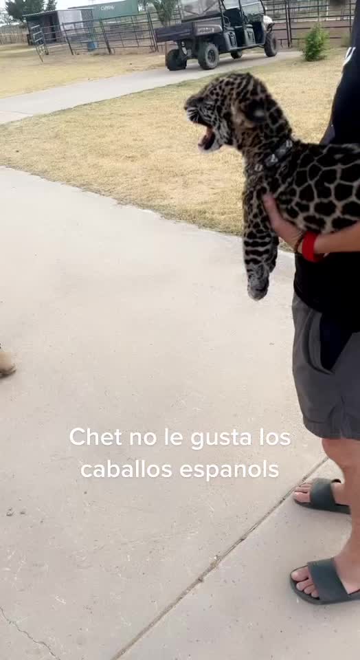 @Jc friesian ranch