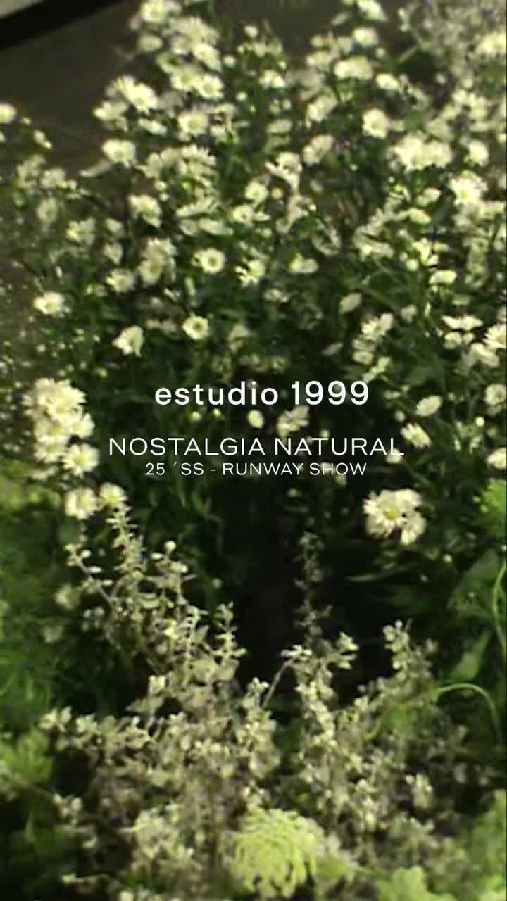 @estudio 1999