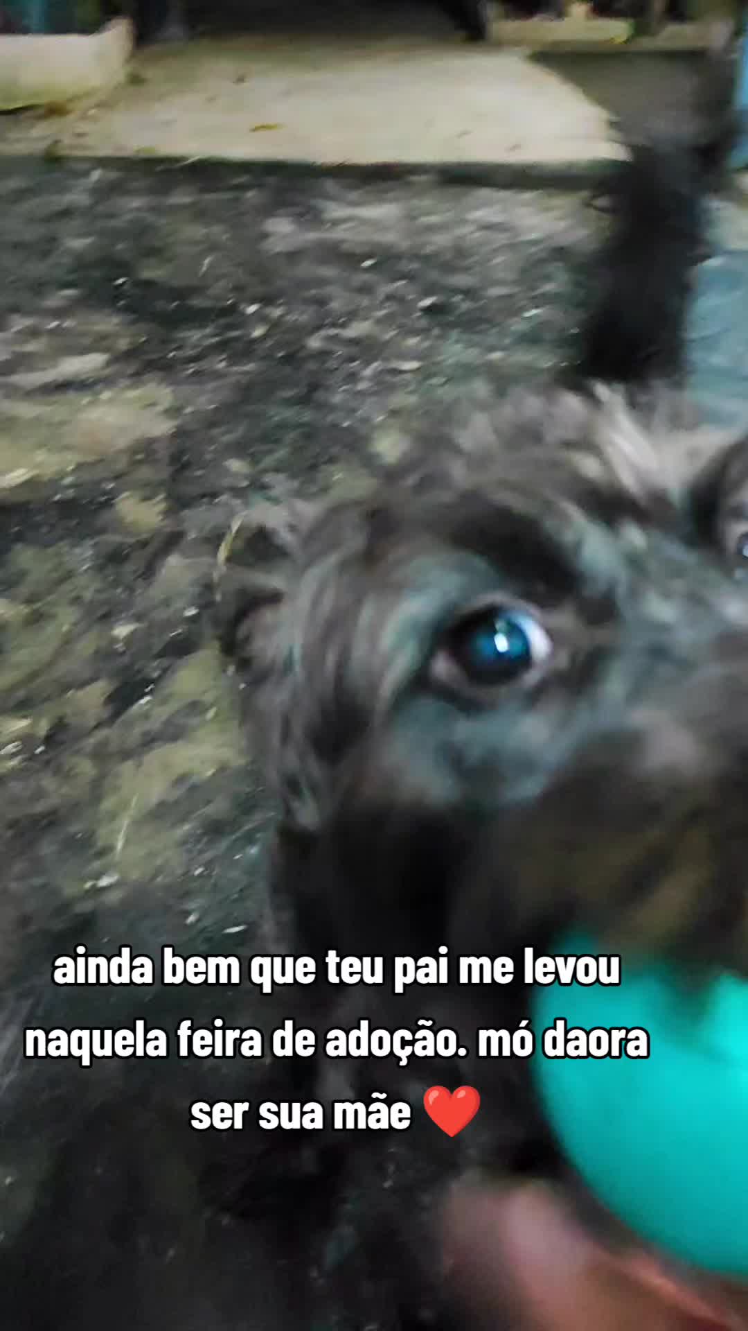@Cecilia Ferreira