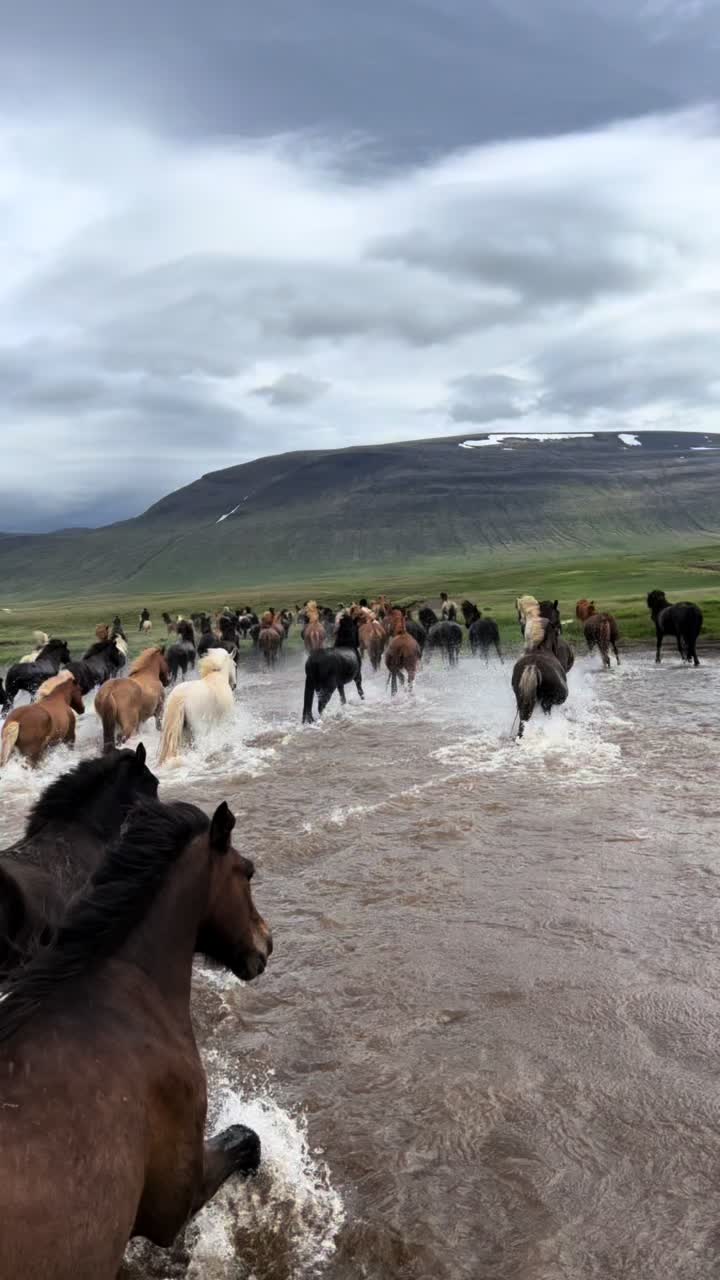 @nordwind_reitreise