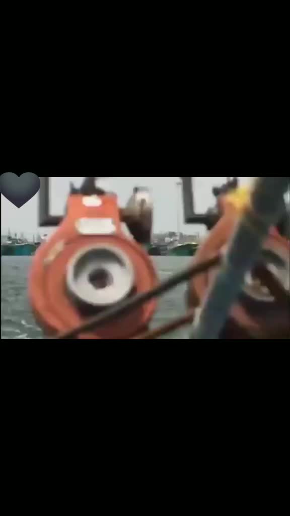 @ArifaMollah