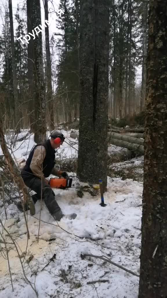 @Андрей Шубин