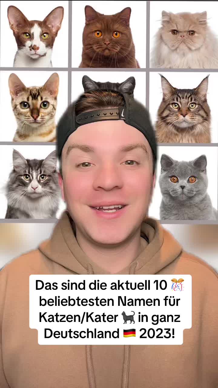 @Ricky_Rhino