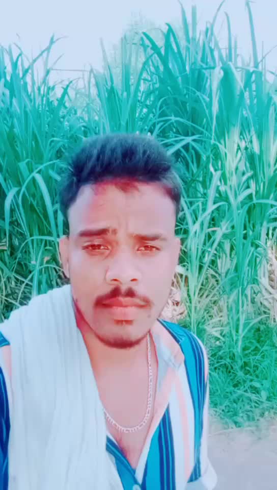 @anil royal chamar