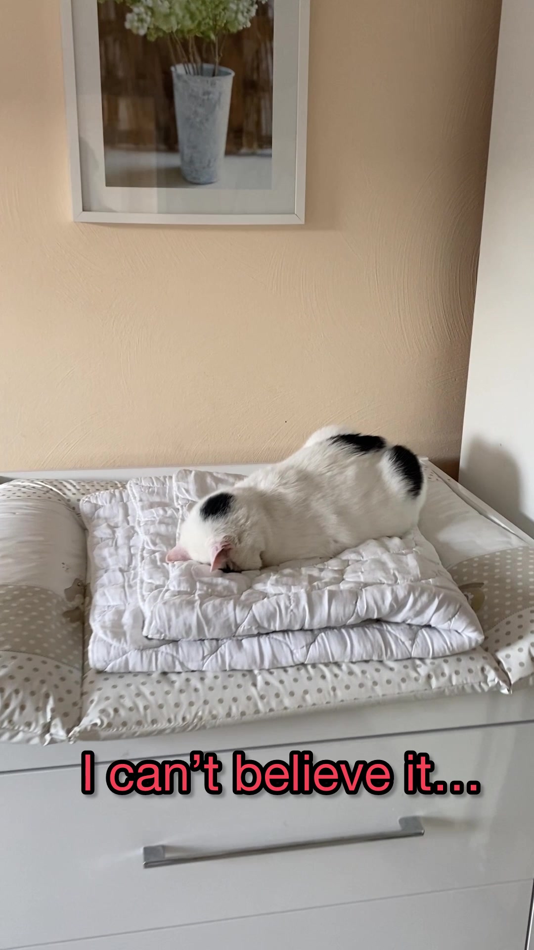 @Marielethecat
