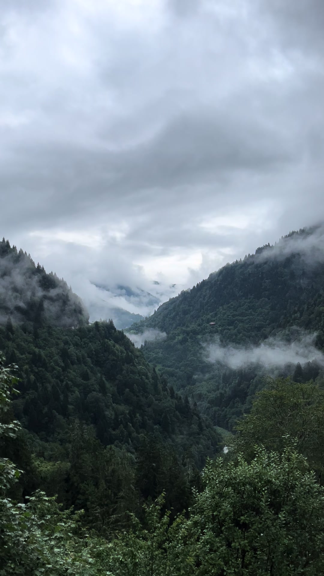 @travelerbedir