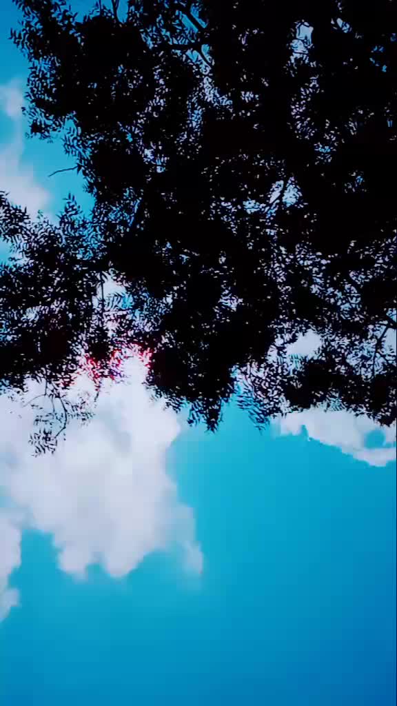 @lovelysubhalaxmi