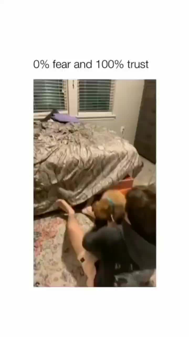 @fyygg12