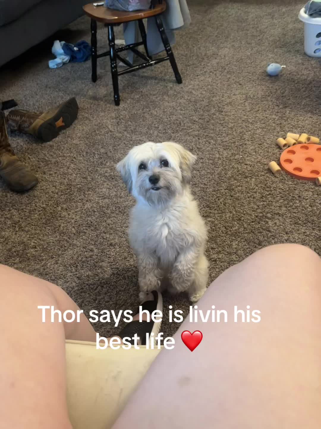 @Thor’s_adventures