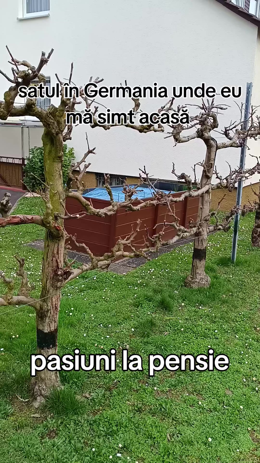 @Bibi