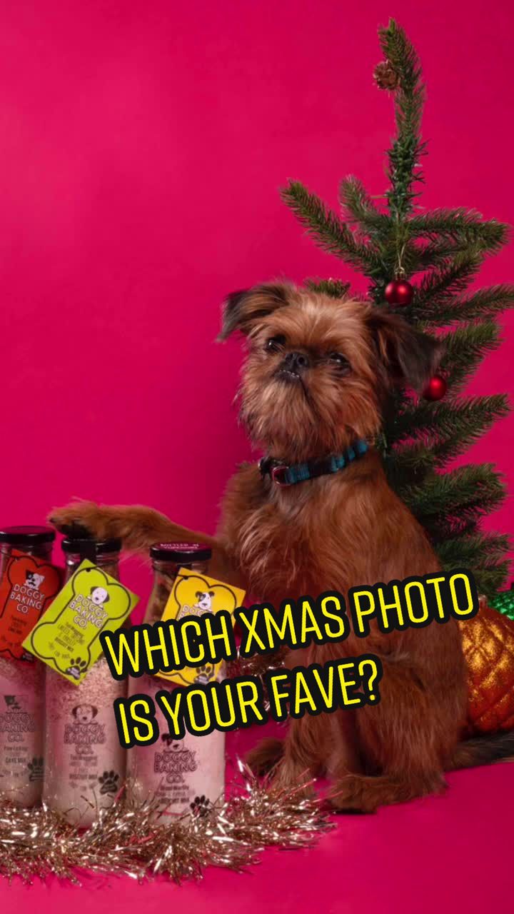 @The Doggy Baking Co
