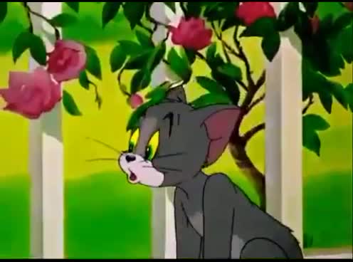 @ಶ್ರೀನಿವಾಸ್💗