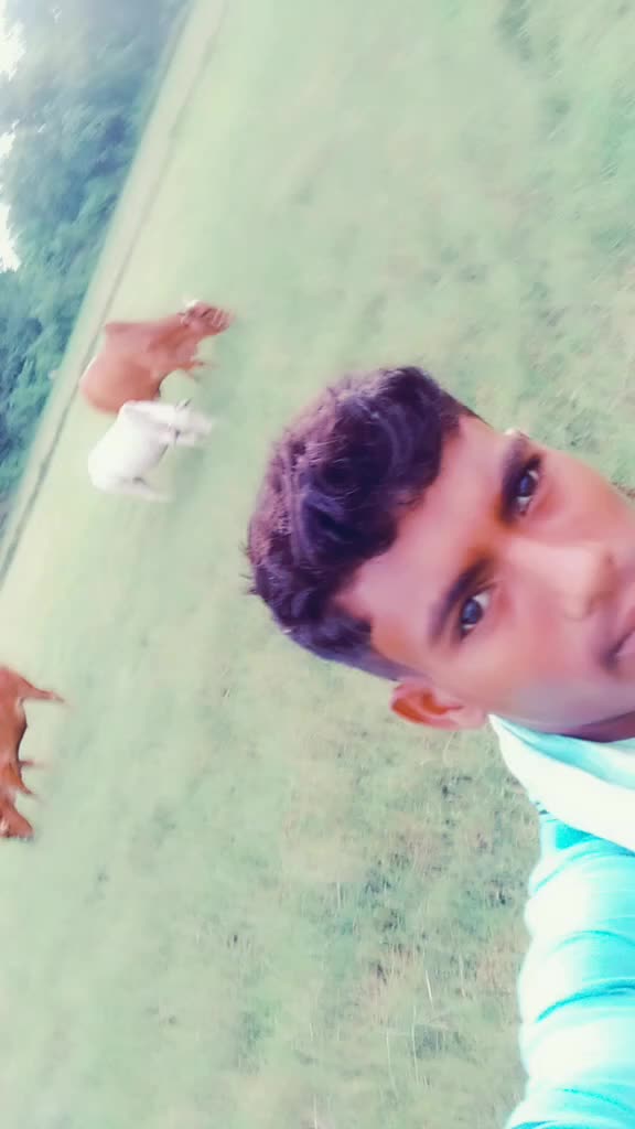 @Babulu Bagarti