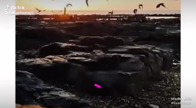 @user6930559092960