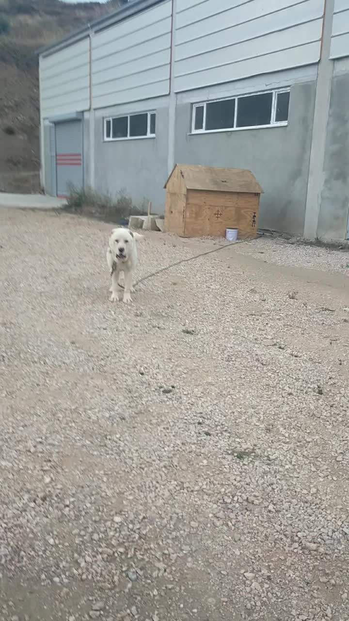 @FurkanK&ouml;se28