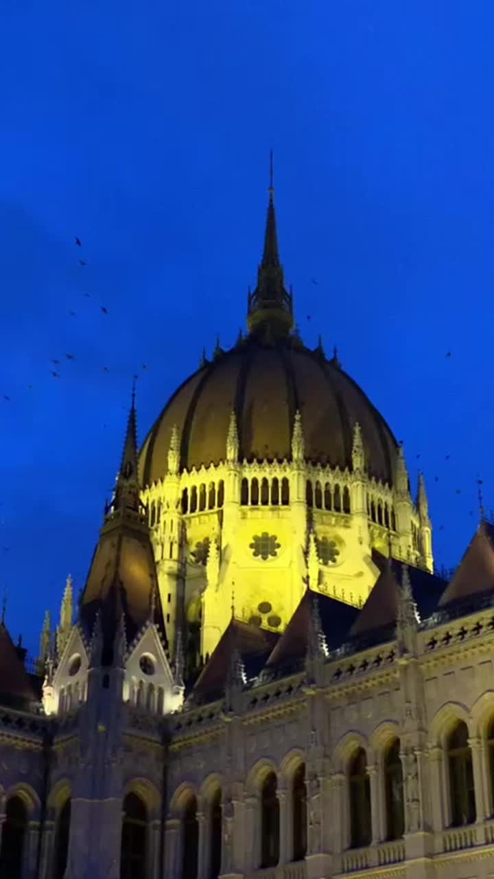 @L’ovni