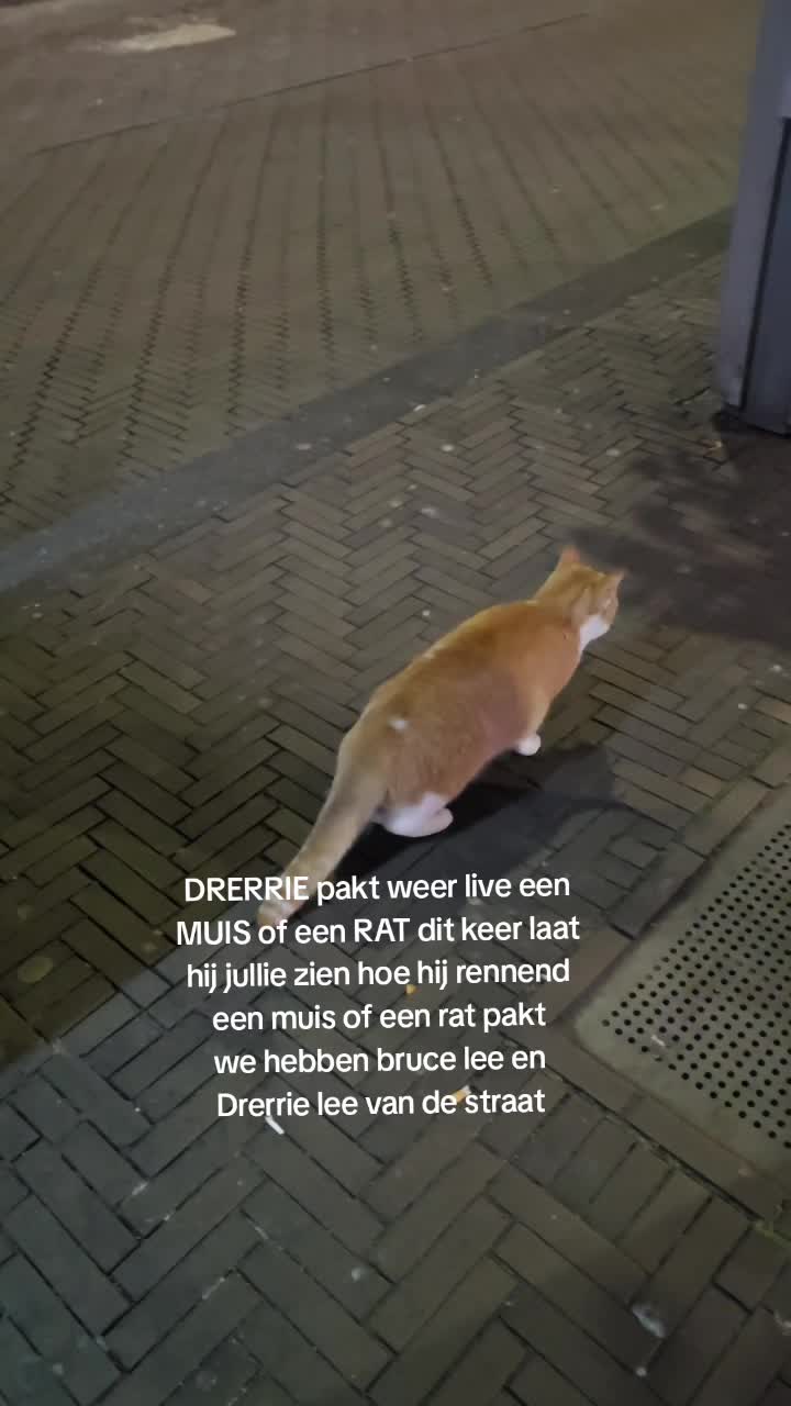 @Zey_motivation
