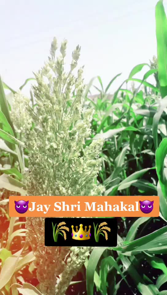 @Shekhar Shinde(PATIL
