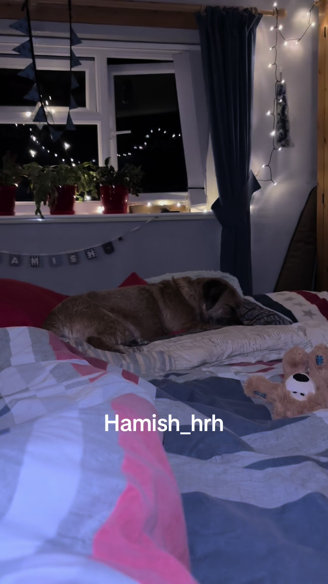 @Lord Hamish HRH