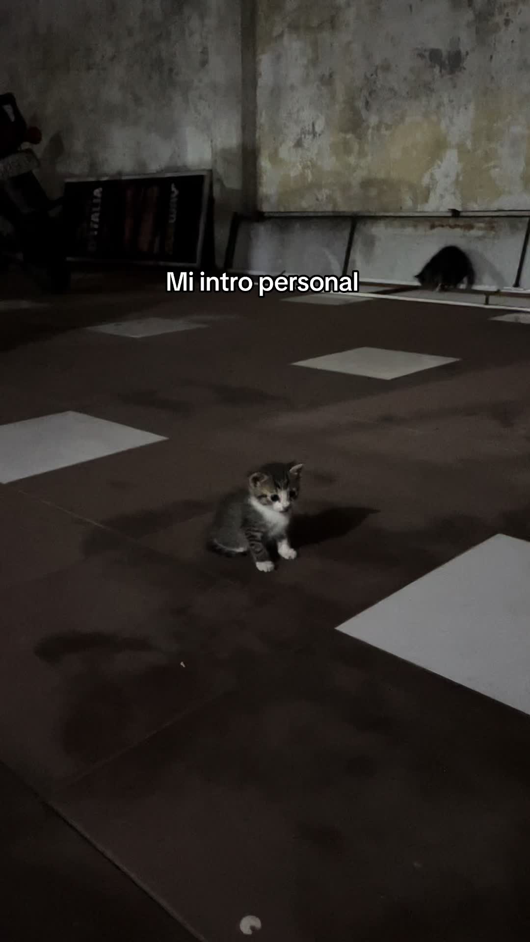 @Chicafitnes💪🏻