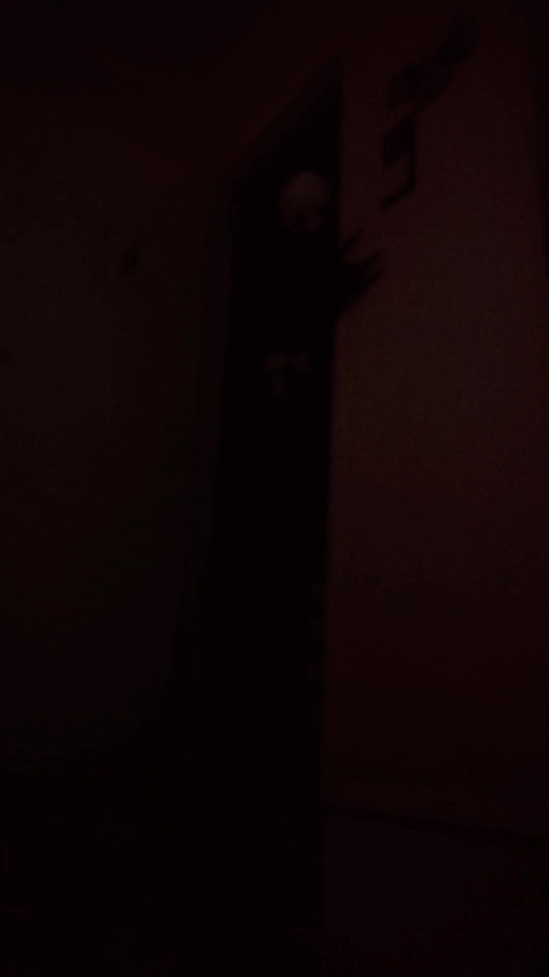 @Puppet Cat6