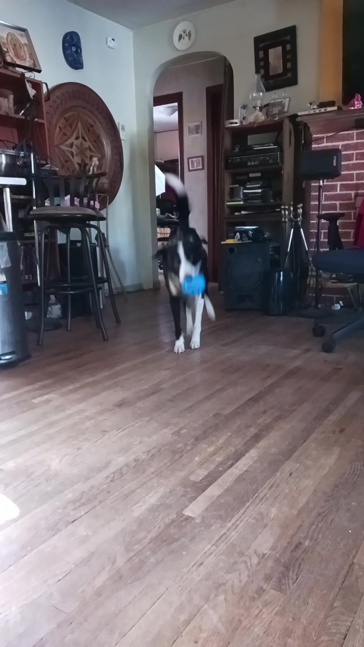 @Lux the Dog at KPPPRadio