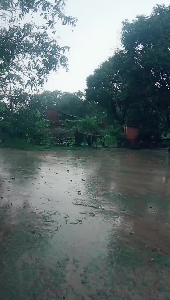 @Punita Singh